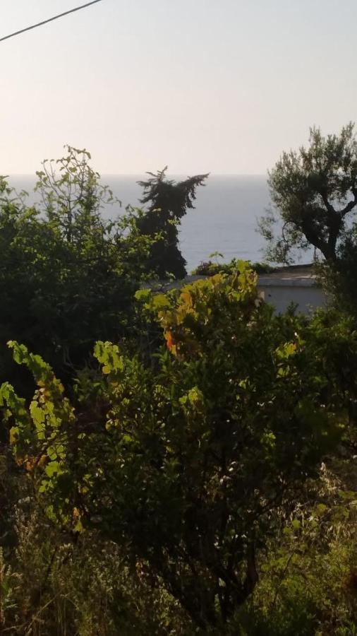 Mullaj Guest House Vlore Bagian luar foto
